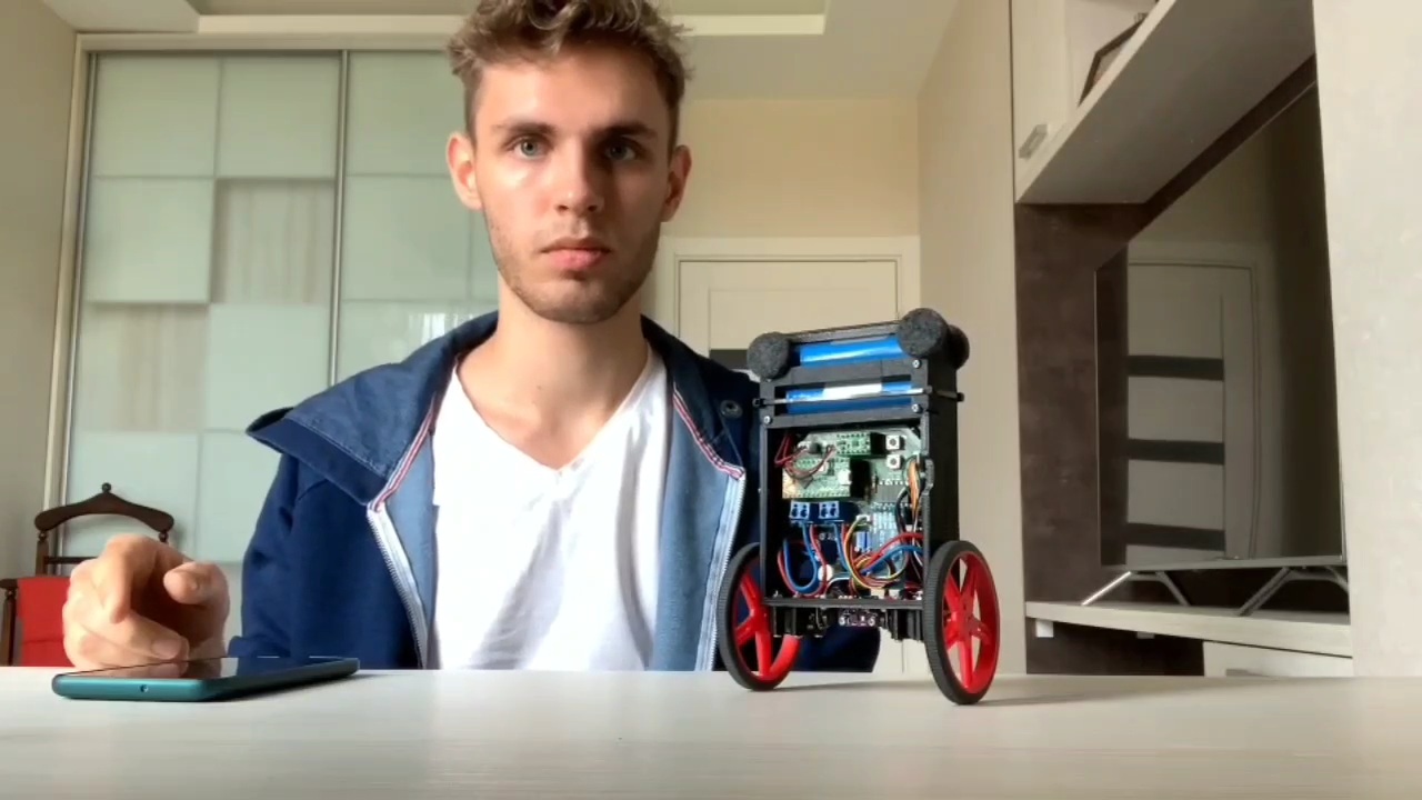 Self-Balancing Robot